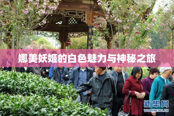 娜美妖姬的白色魅力与神秘之旅