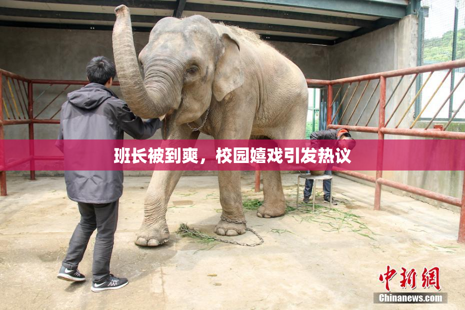 班长被到爽，校园嬉戏引发热议