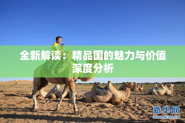 全新解读：精品国的魅力与价值深度分析