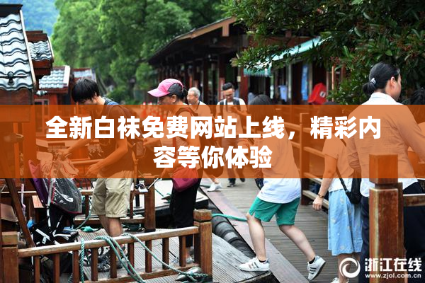 全新白袜免费网站上线，精彩内容等你体验