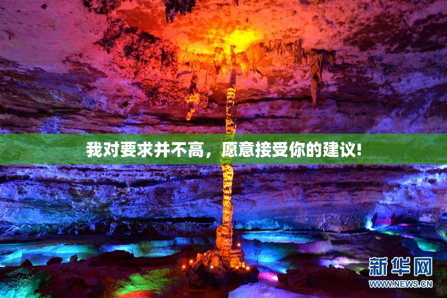 我对要求并不高，愿意接受你的建议!