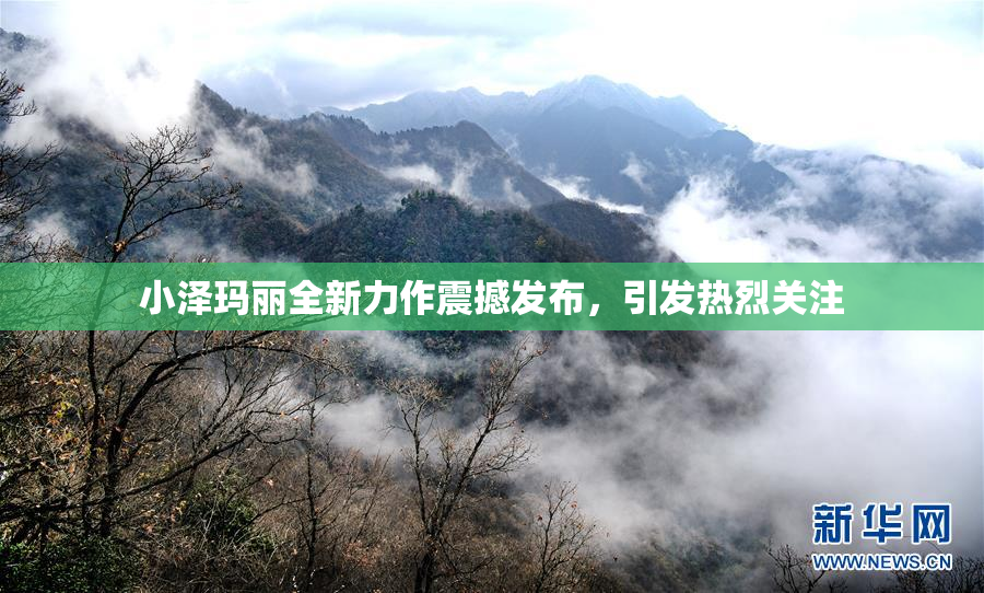 小泽玛丽全新力作震撼发布，引发热烈关注