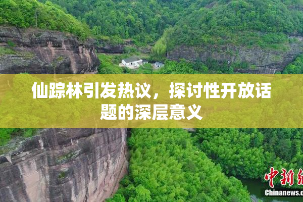 仙踪林引发热议，探讨性开放话题的深层意义