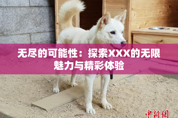 无尽的可能性：探索XXX的无限魅力与精彩体验