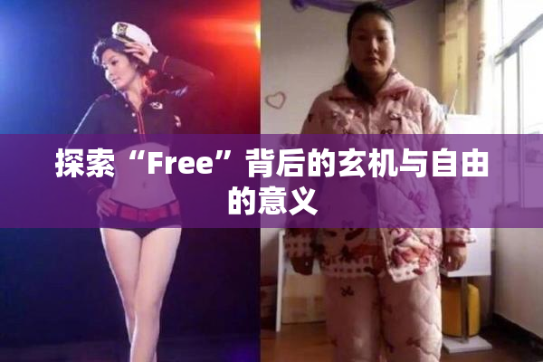 探索“Free”背后的玄机与自由的意义