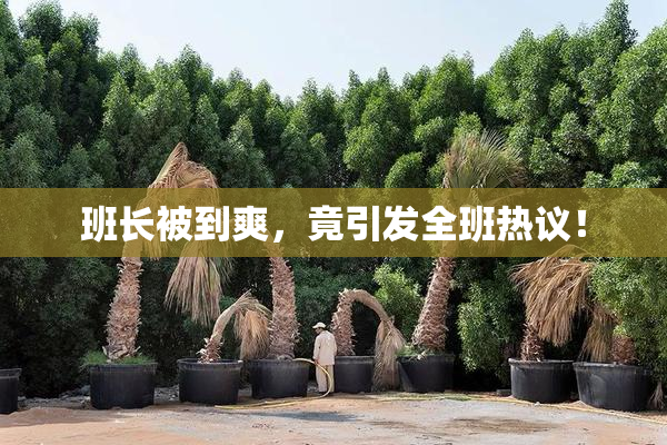 班长被到爽，竟引发全班热议！