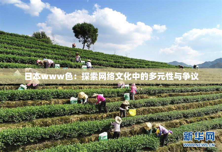 日本www色：探索网络文化中的多元性与争议
