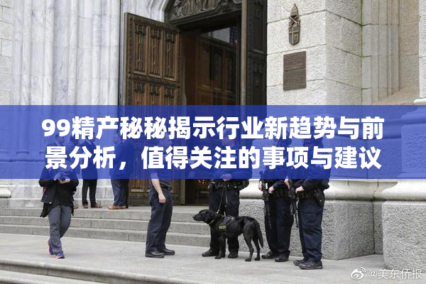 99精产秘秘揭示行业新趋势与前景分析，值得关注的事项与建议