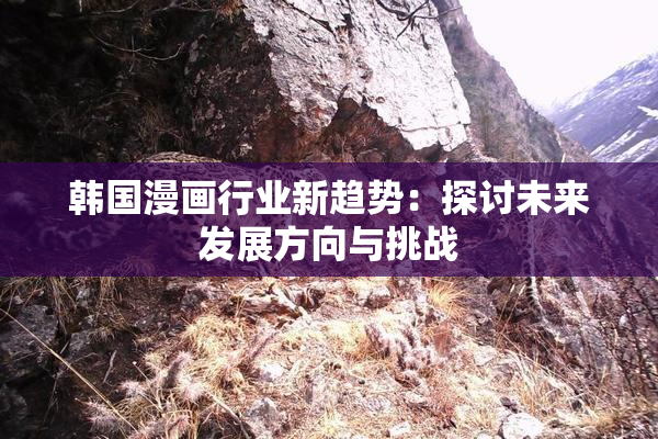 韩国漫画行业新趋势：探讨未来发展方向与挑战