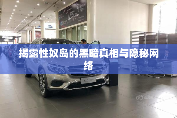 揭露性奴岛的黑暗真相与隐秘网络