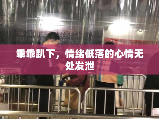乖乖趴下，情绪低落的心情无处发泄