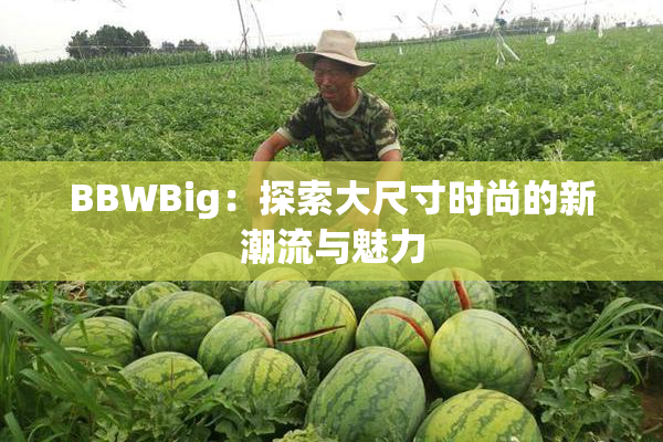 BBWBig：探索大尺寸时尚的新潮流与魅力