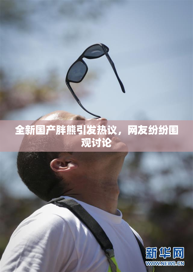 全新国产胖熊引发热议，网友纷纷围观讨论
