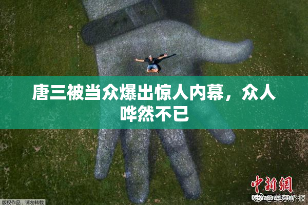 唐三被当众爆出惊人内幕，众人哗然不已