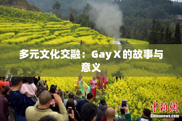 多元文化交融：GayⅩ的故事与意义