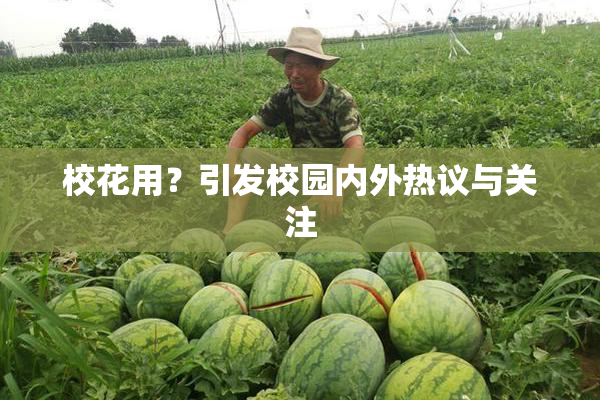 校花用？引发校园内外热议与关注