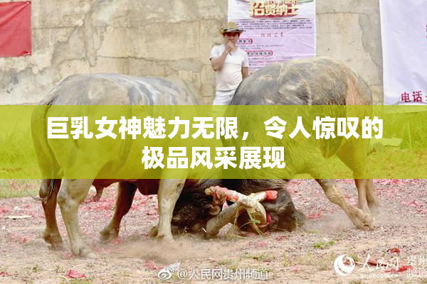 巨乳女神魅力无限，令人惊叹的极品风采展现