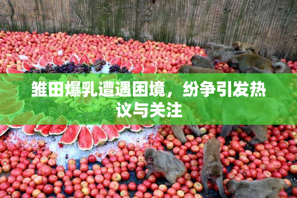 雏田爆乳遭遇困境，纷争引发热议与关注