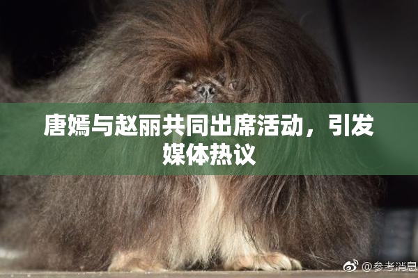 唐嫣与赵丽共同出席活动，引发媒体热议