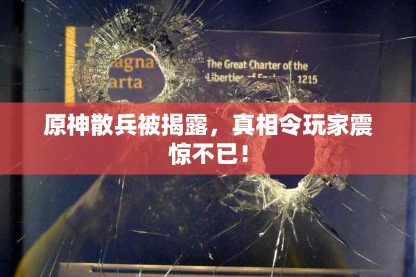原神散兵被揭露，真相令玩家震惊不已！