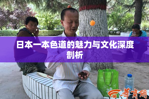 日本一本色道的魅力与文化深度剖析