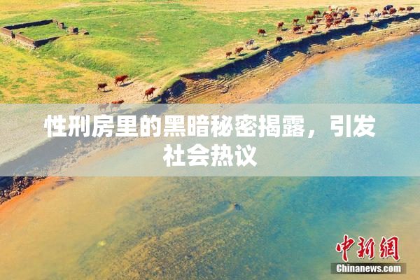 性刑房里的黑暗秘密揭露，引发社会热议