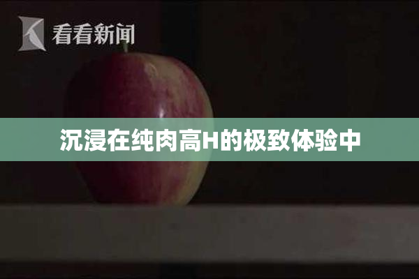 沉浸在纯肉高H的极致体验中
