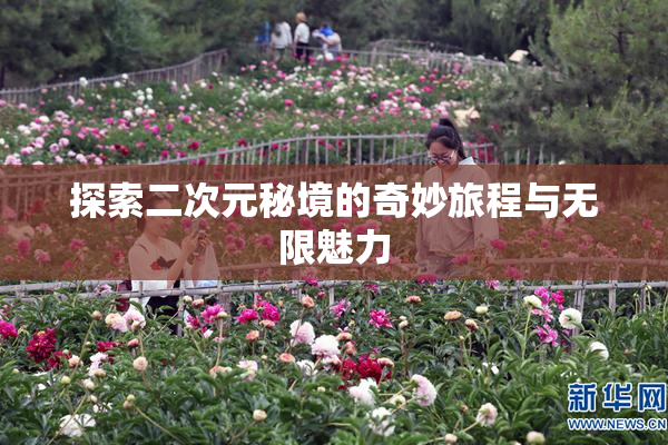 探索二次元秘境的奇妙旅程与无限魅力