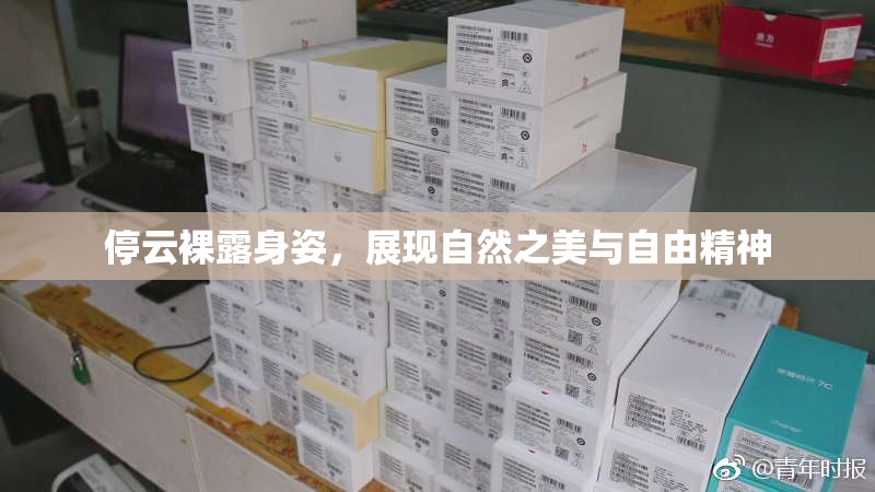 停云裸露身姿，展现自然之美与自由精神