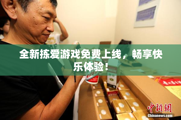 全新拣爱游戏免费上线，畅享快乐体验！