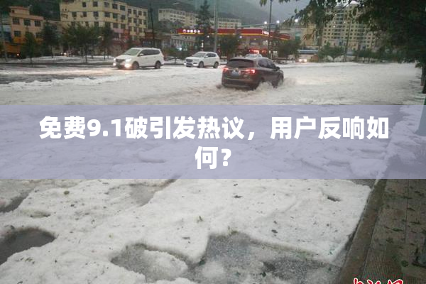 免费9.1破引发热议，用户反响如何？