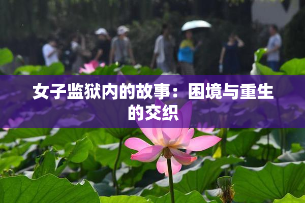 女子监狱内的故事：困境与重生的交织