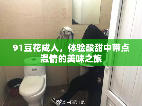 91豆花成人，体验酸甜中带点温情的美味之旅