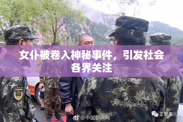 女仆被卷入神秘事件，引发社会各界关注