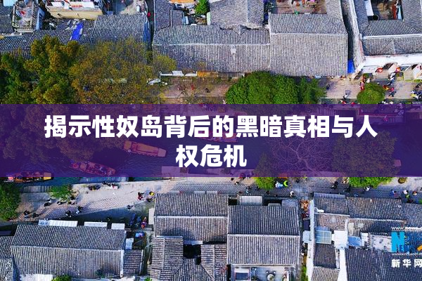揭示性奴岛背后的黑暗真相与人权危机