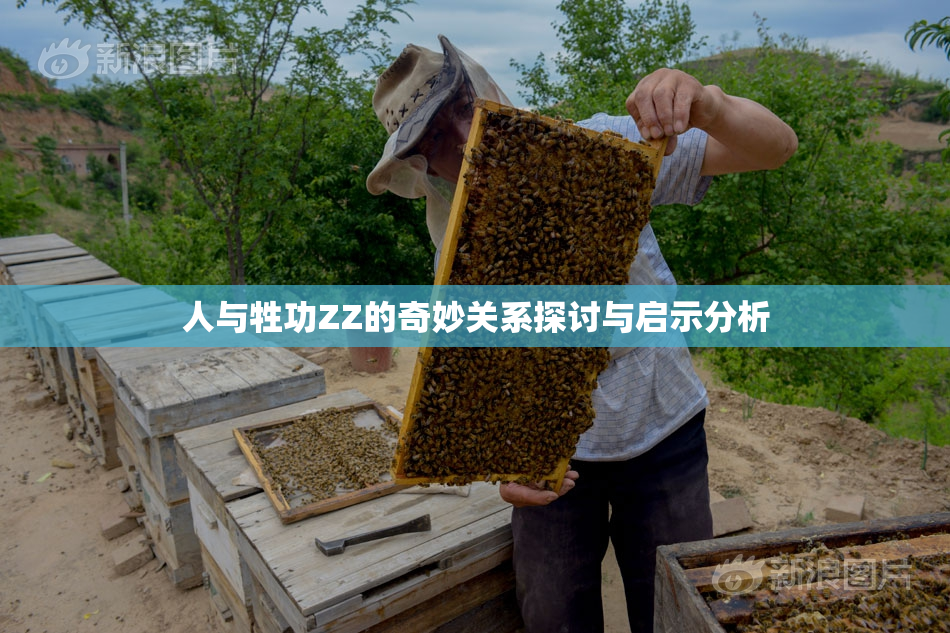 人与牲功ZZ的奇妙关系探讨与启示分析