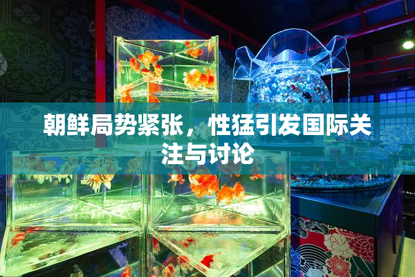朝鲜局势紧张，性猛引发国际关注与讨论