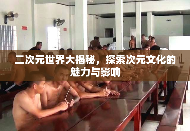 二次元世界大揭秘，探索次元文化的魅力与影响