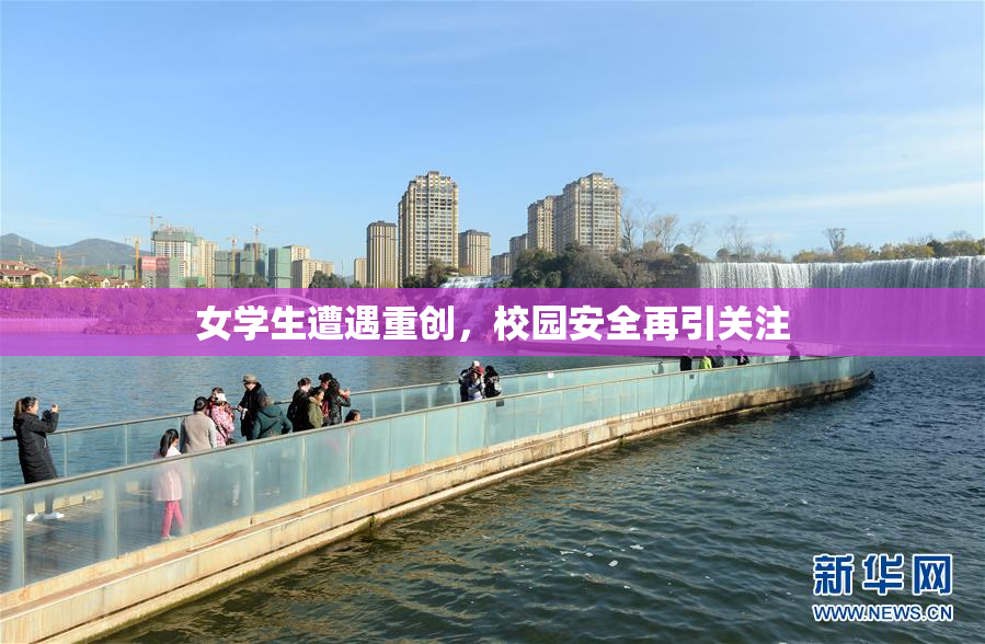 女学生遭遇重创，校园安全再引关注