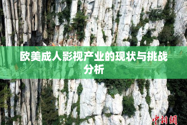欧美成人影视产业的现状与挑战分析