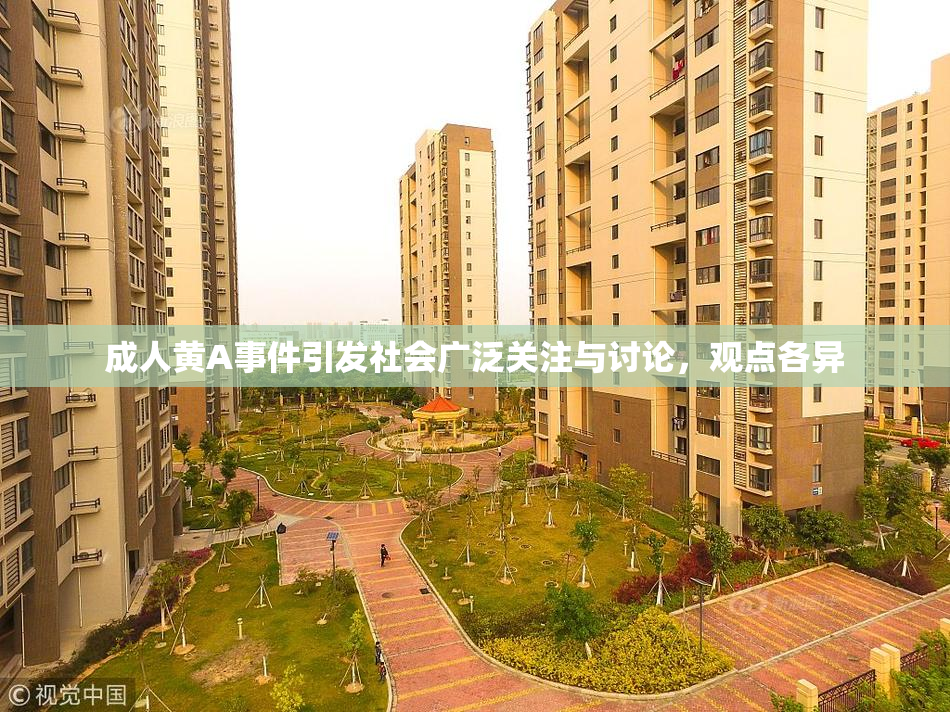 成人黄A事件引发社会广泛关注与讨论，观点各异