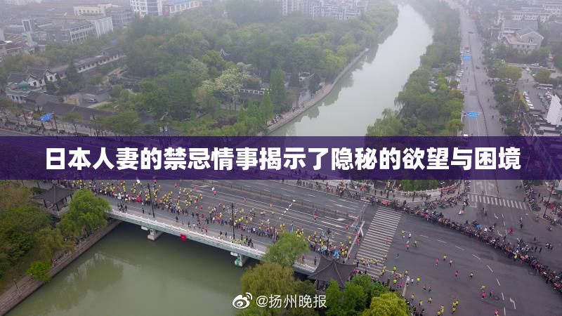 日本人妻的禁忌情事揭示了隐秘的欲望与困境