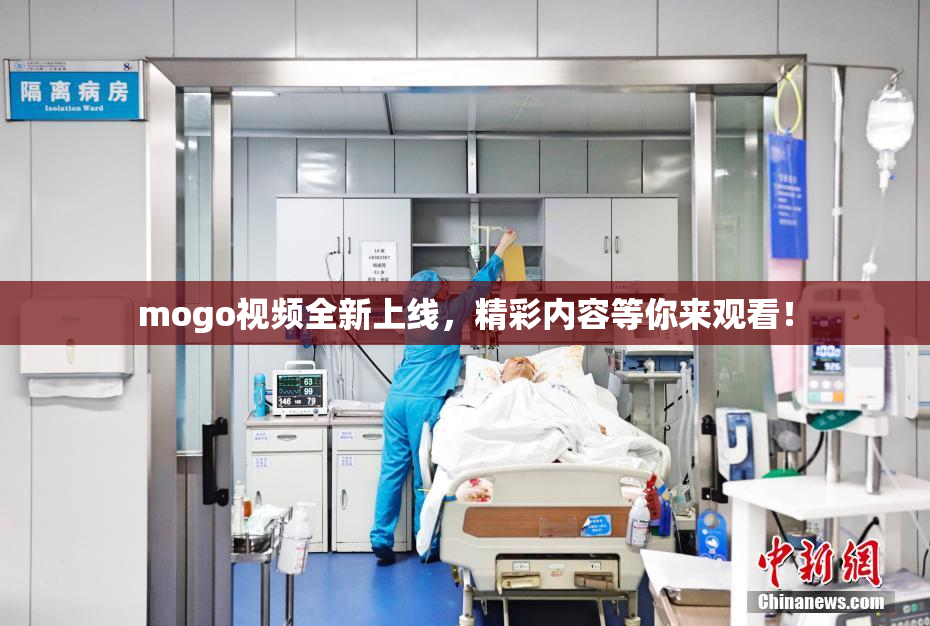 mogo视频全新上线，精彩内容等你来观看！