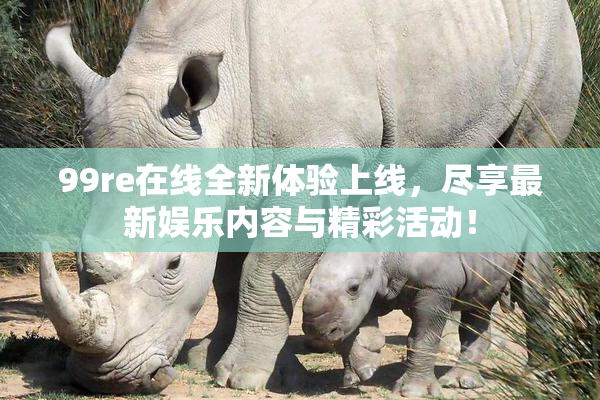 99re在线全新体验上线，尽享最新娱乐内容与精彩活动！