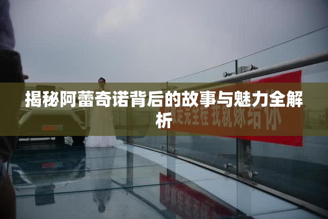 揭秘阿蕾奇诺背后的故事与魅力全解析