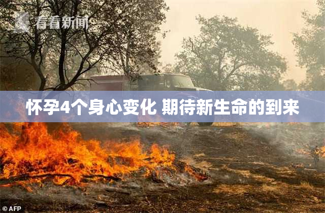 怀孕4个身心变化 期待新生命的到来