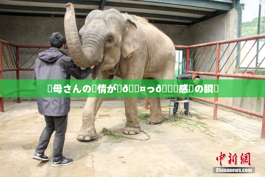 ✿母さんの愛情が詰🖤っ👅感動の瞬間