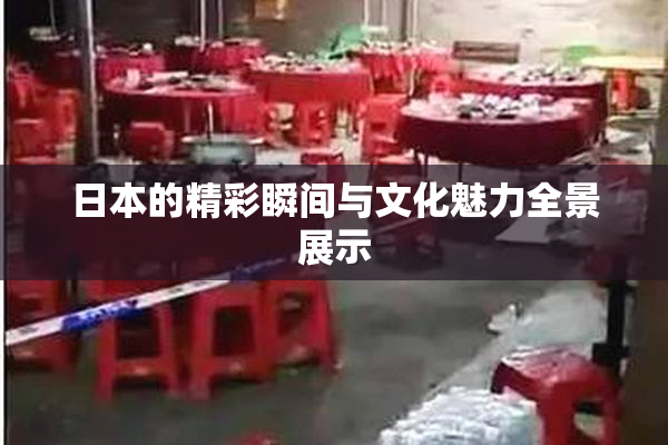 日本的精彩瞬间与文化魅力全景展示