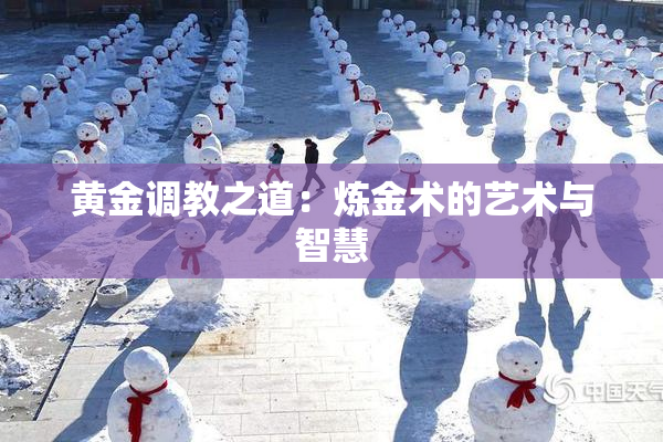 黄金调教之道：炼金术的艺术与智慧