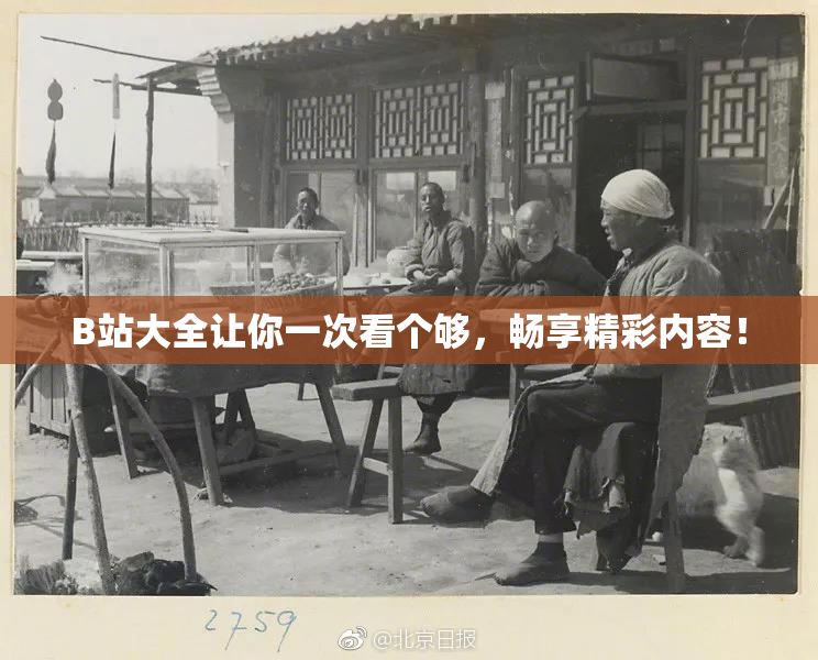 B站大全让你一次看个够，畅享精彩内容！